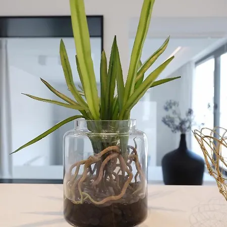 1-bedroom With Spacious Terrace * خنت